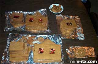 Ginger, the Gingerbread Village Server