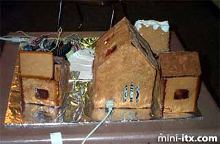 Ginger, the Gingerbread Village Server