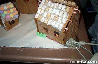 Ginger, the Gingerbread Village Server