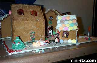 Ginger, the Gingerbread Village Server