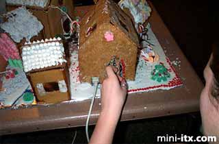 Ginger, the Gingerbread Village Server