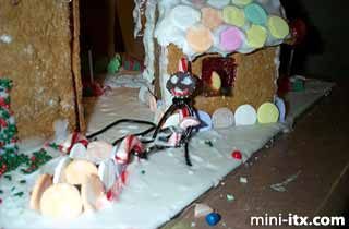 Ginger, the Gingerbread Village Server