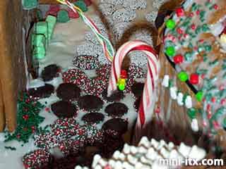 Ginger, the Gingerbread Village Server