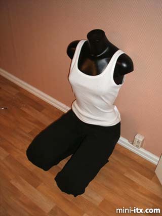 The Leela PC