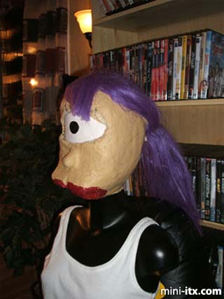 The Leela PC