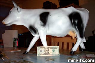 Tap hooves here to launch image viewer