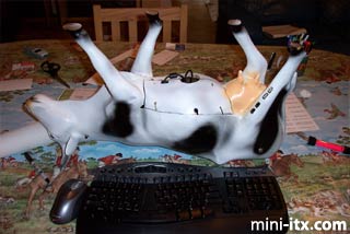 Tap hooves here to launch image viewer