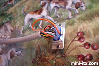 Tap hooves here to launch image viewer