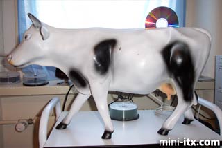 Tap hooves here to launch image viewer