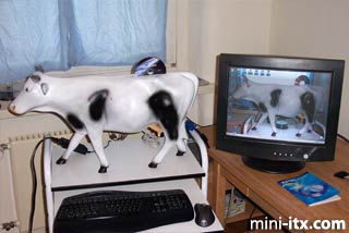 Tap hooves here to launch image viewer